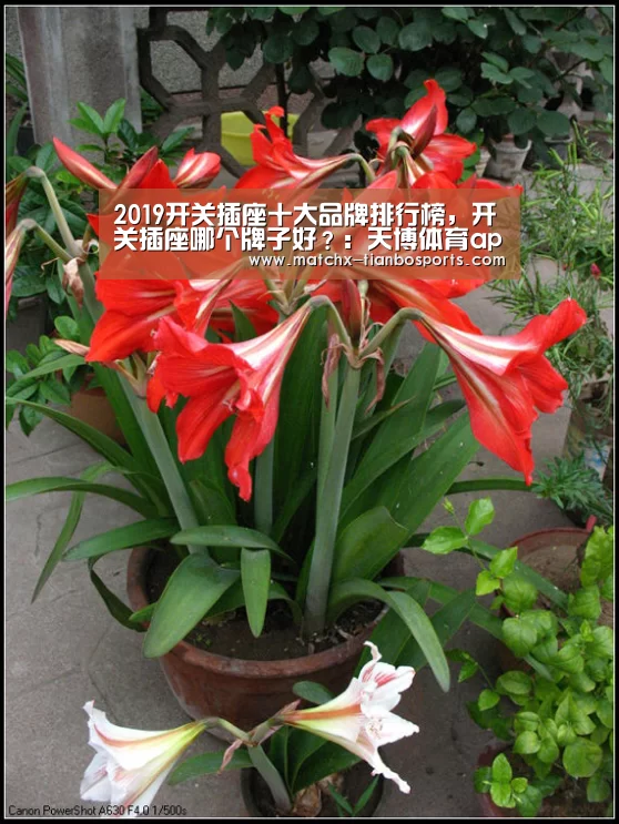 天博体育app
